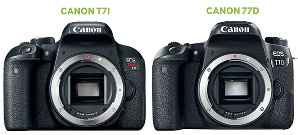 Canon t7i x Canon 77D - Fotografia Dicas (1)