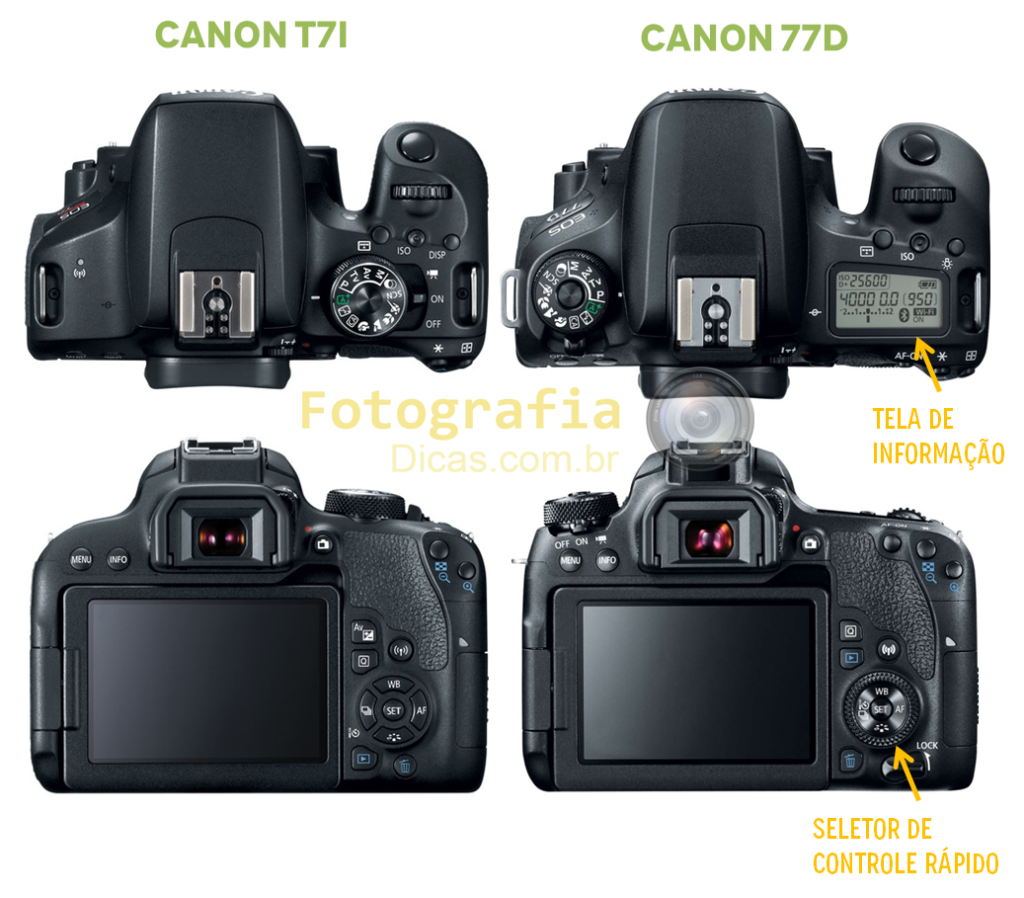 Canon t7i x Canon 77D - Fotografia Dicas (3)