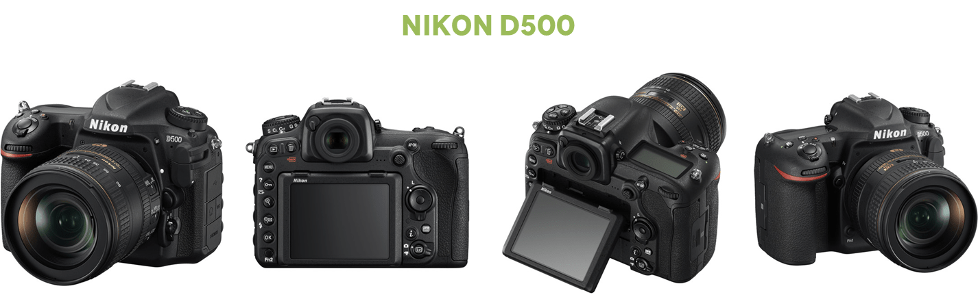 Nikon D7500 - Fotografia Dicas